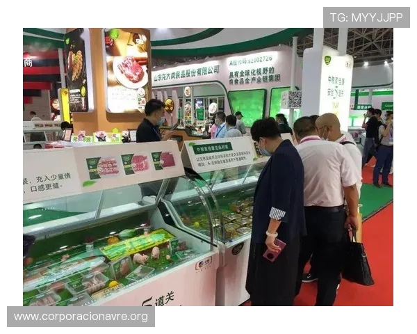 凯发中国官网入口全面升级，优化用户体验确保安全稳定的访问环境