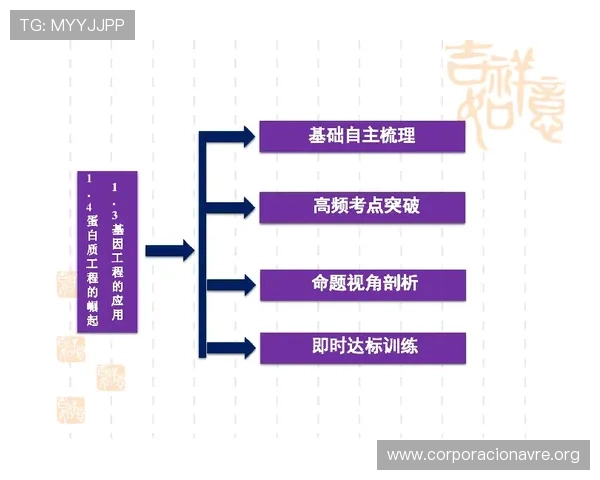 凯发体育平台首页优化策略解析，提升用户粘性和平台竞争力