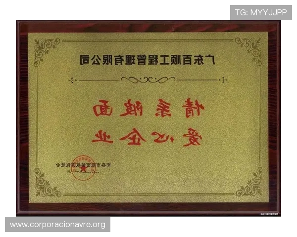 凯发k8国际首页平台合作伙伴与授权认证信息全公开保障用户权益